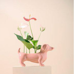 Peach Ceramic Dog Planter
