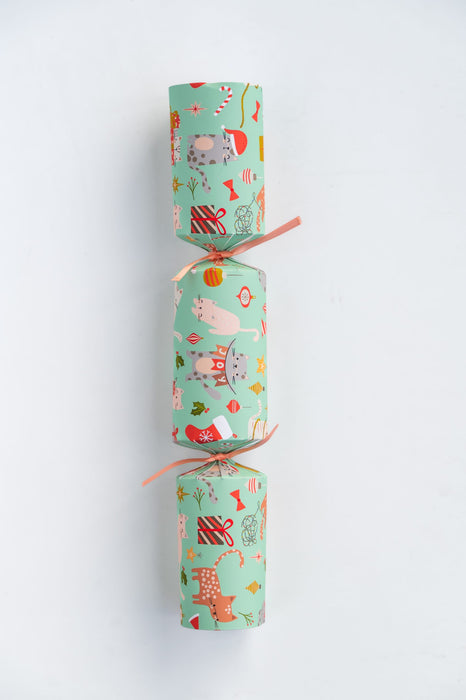 Pet Christmas Crackers - For Cats & Dogs