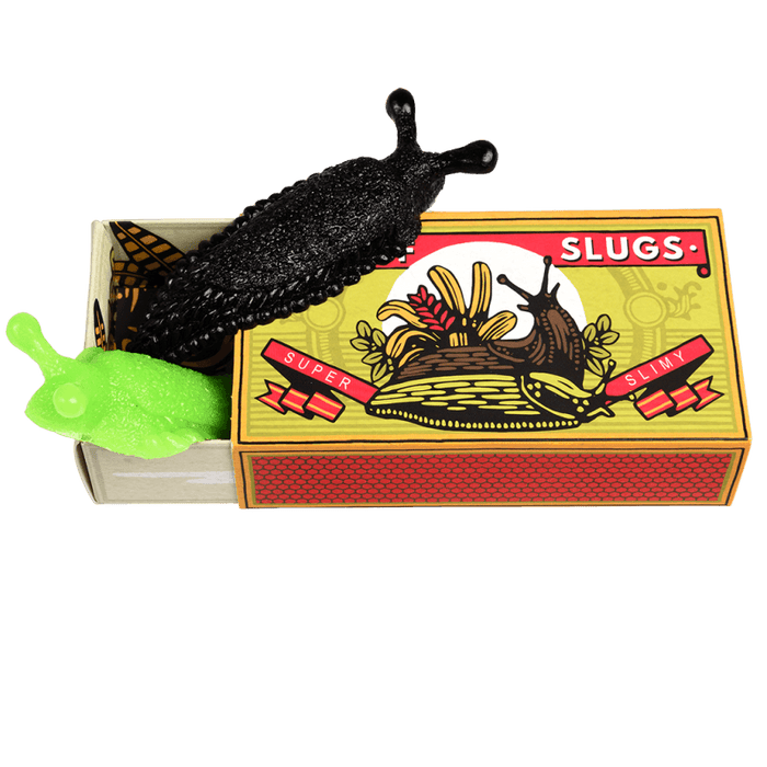 Box of Two Slimy Slugs