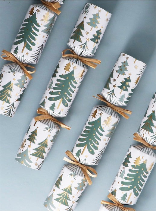 New England Trees Crackers - Box of 6