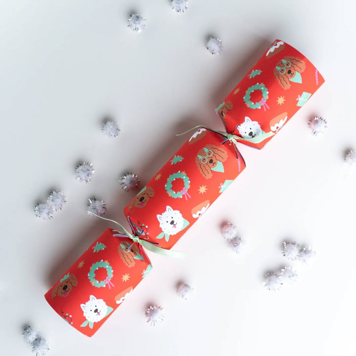 Pet Christmas Crackers - For Cats & Dogs