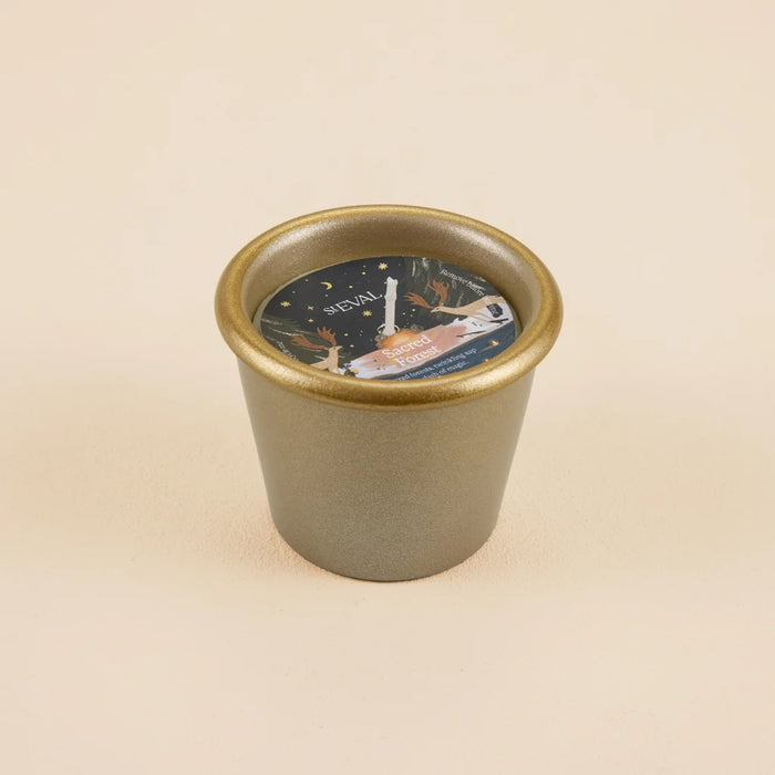 Sacred Forest, Christmas Scented Candle in Stardust Pot