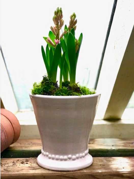 Beaded Footed Plant Pot