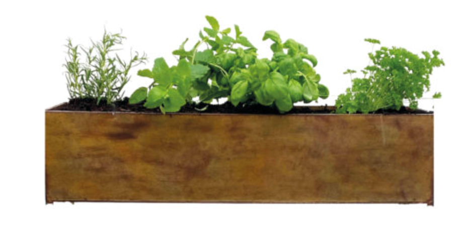 Leon Herb Trough