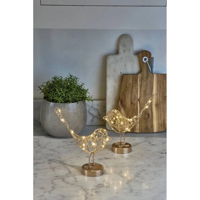 Light Up Robin Decorations