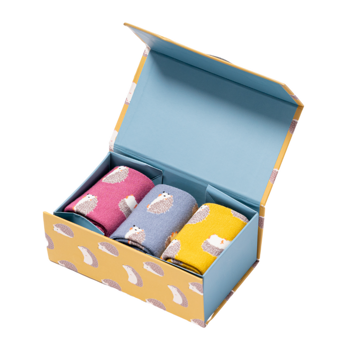 Hedgehogs Socks Box