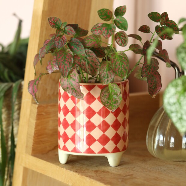 Pink and Red Harlequin Ceramic Mini Planter